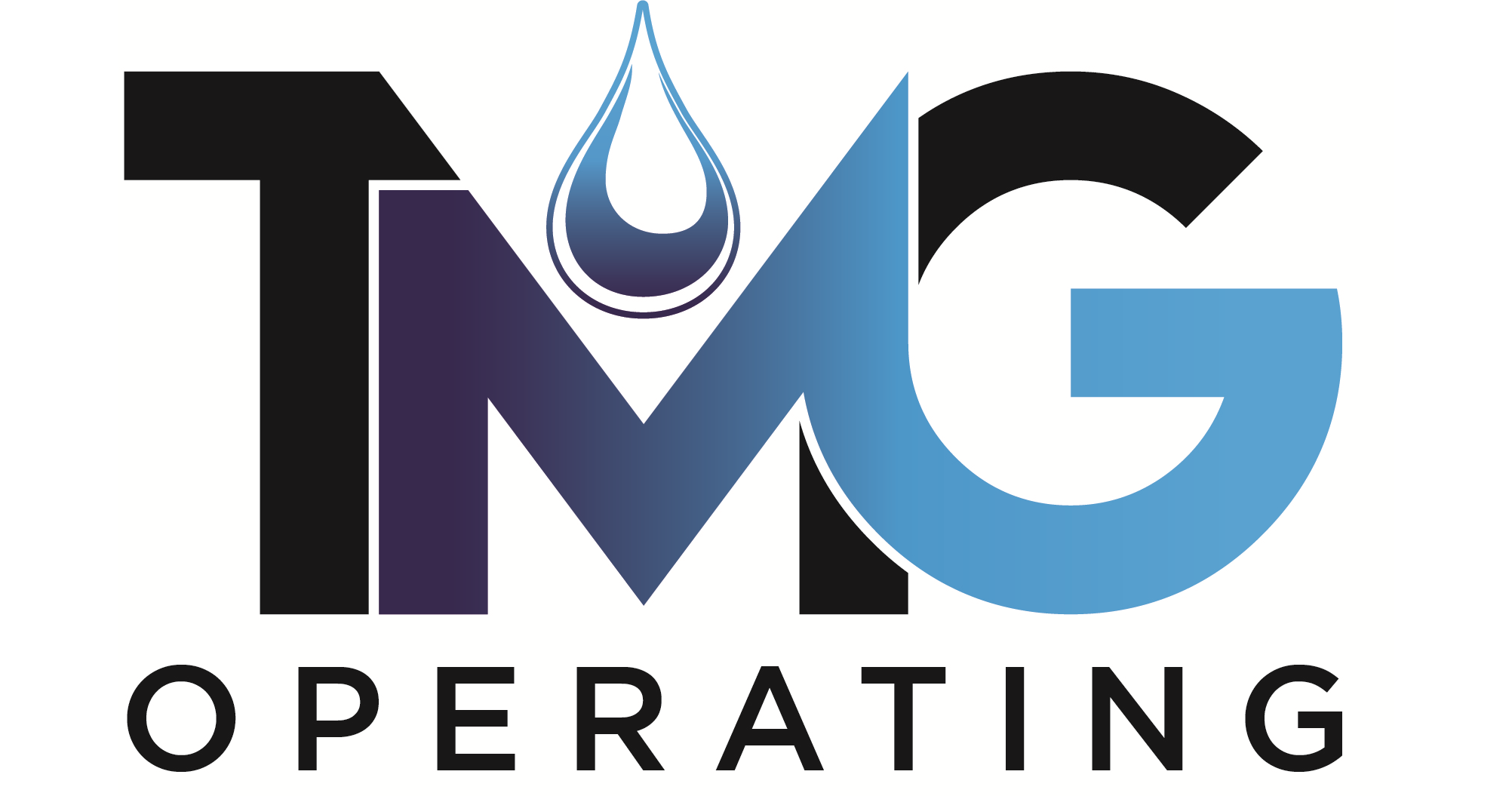TMG Operating LLC Director of Finance Application